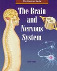 The brain and the nervous system /