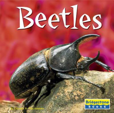 Beetles