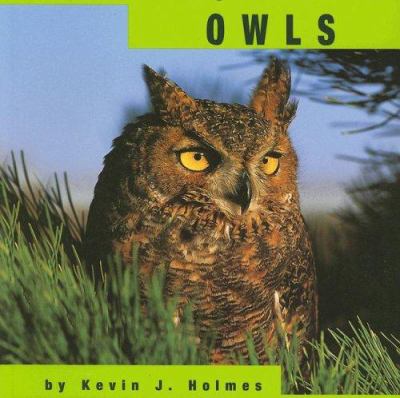 Owls