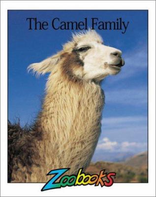 The camel family