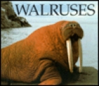 Walruses.