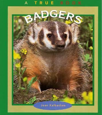 Badgers