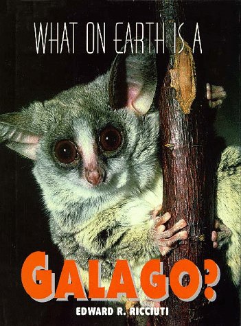 What on earth is a galago?