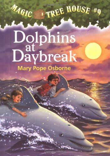 Dolphins at daybreak /# 9