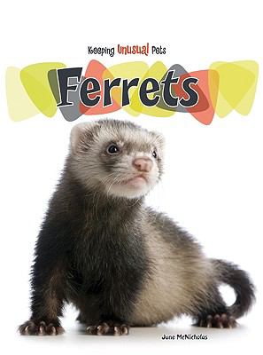 Ferrets