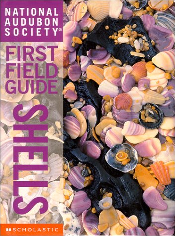 First field guide. Shells. Shells /