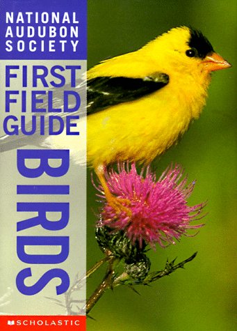 First field guide: Birds. Birds /