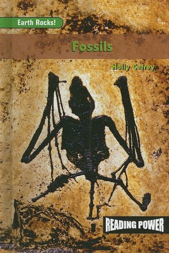 Fossils /.