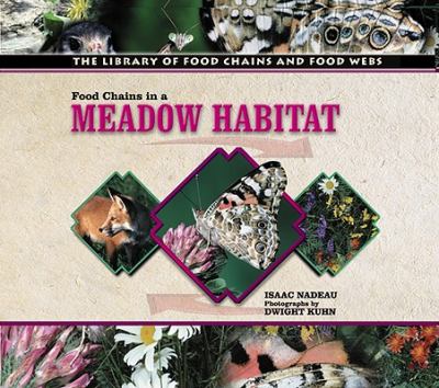 Food chains in a meadow habitat.