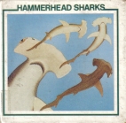 Hammerhead sharks