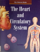 The heart and circulatory system