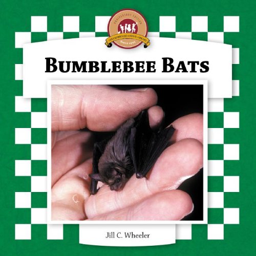 Bumblebee bats /.