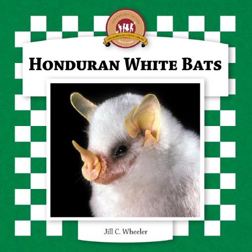 Honduran white bats /.