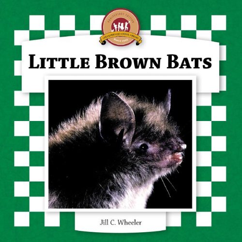 Little brown bats /.