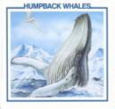 Humpback whales