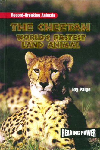 The cheetah : world's fastest land animal /.