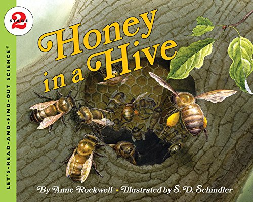 Honey in a hive