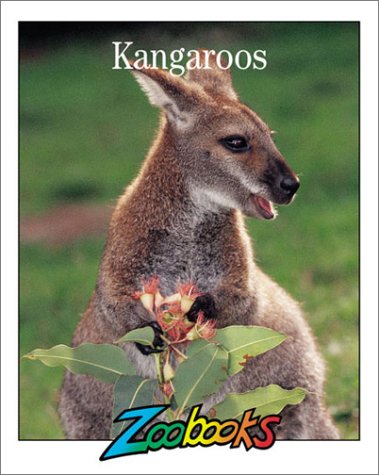 Kangaroos.