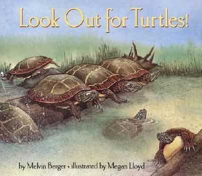 Look out for turtles!