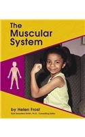 The Muscular System.