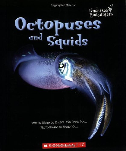 Octopuses and squids