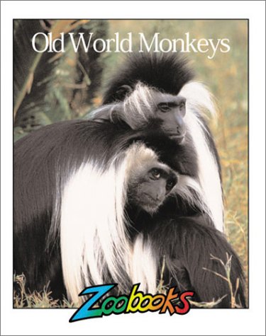 Old World Monkeys.