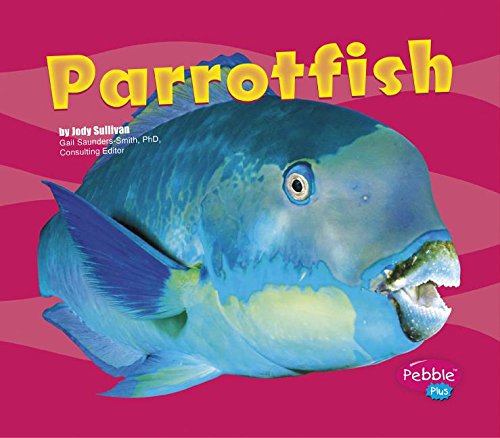 Parrotfish