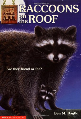 Raccoons on the roof