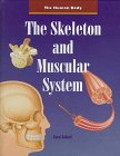 The Skeleton and Muscular System.