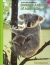 Strange animals of Australia : koalas and kangaroos