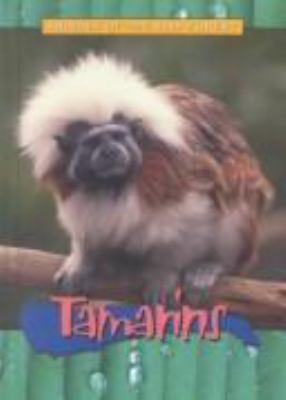 Tamarins