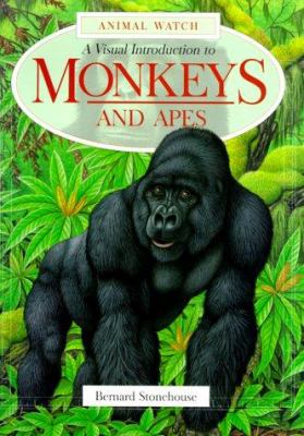 A visual introduction to monkeys and apes