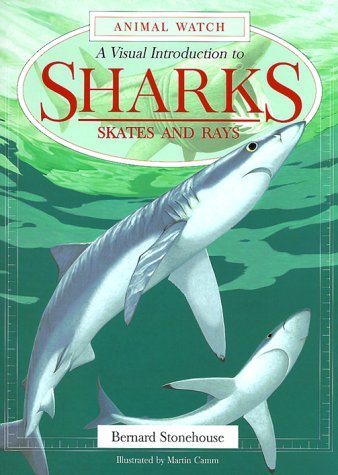 A visual introduction to sharks, skates and rays