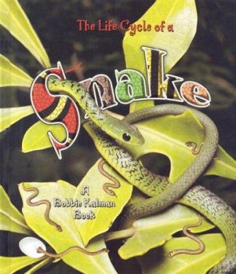 The life cycle of a snake