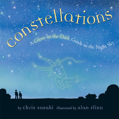 Constellations: a glow-in-the-dark guide to the night sky.