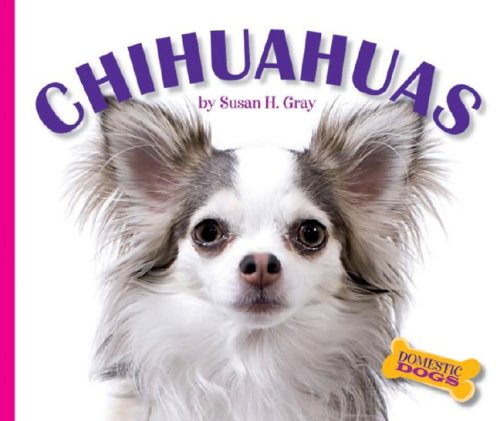 Chihuahuas