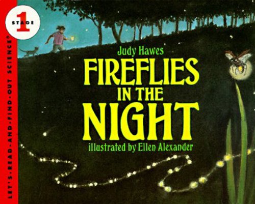 Fireflies in the night