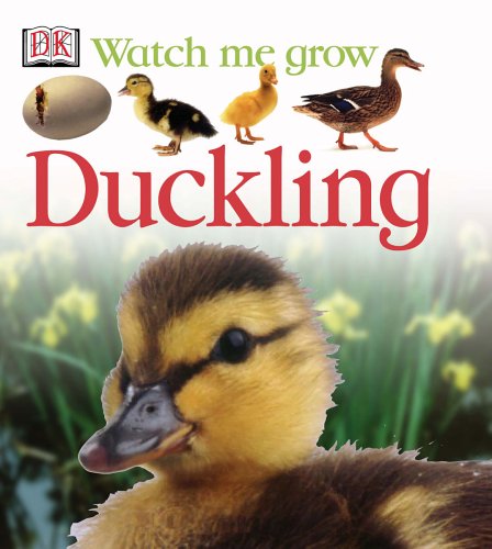 Duckling