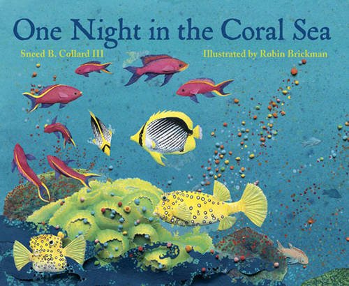 One night in the coral sea