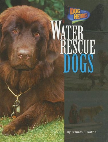 Water rescue dogs