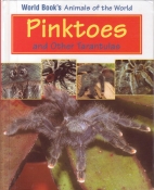 Pinktoes and other tarantulas