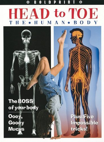 Head to toe : the human body