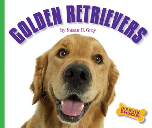 Golden retrievers