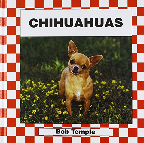 Chihuahuas