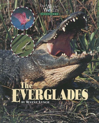 The everglades