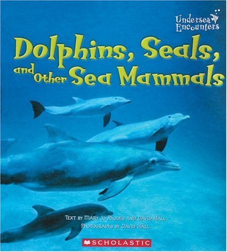 Dolphins, seals, and other sea mammals