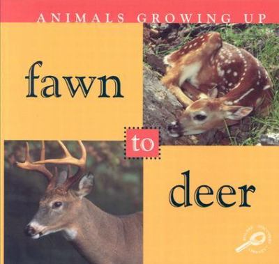 Fawn to deer