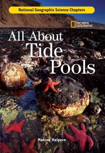 All about tide pools