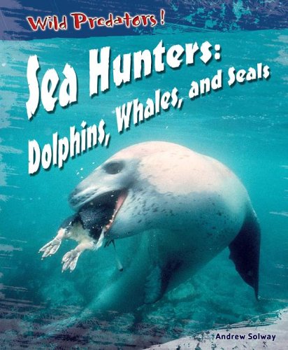 Sea hunters : dolphins, whales, and seals