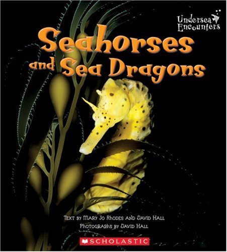 Seahorses and sea dragons